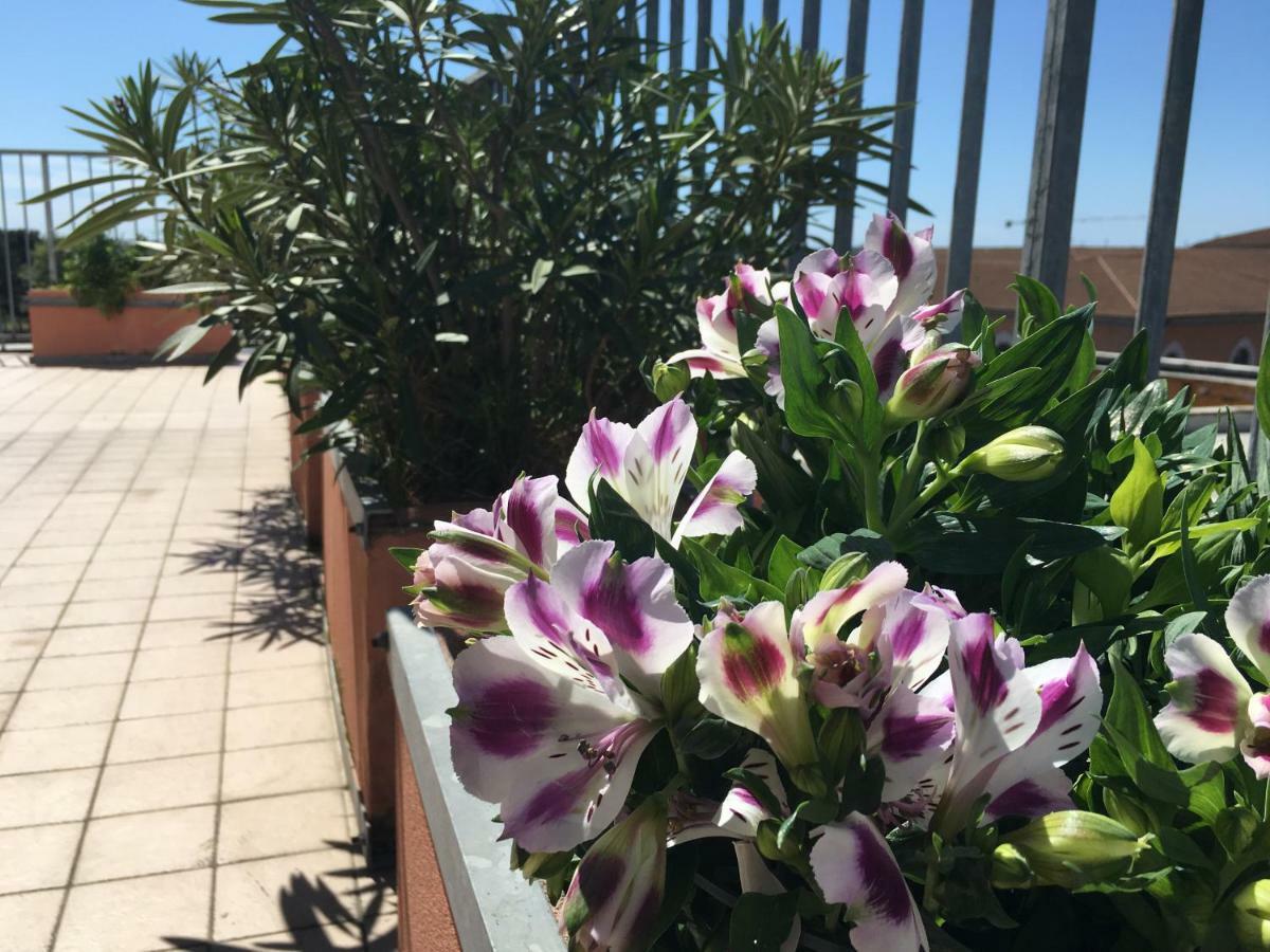 B&B Colombo Pisa Luaran gambar