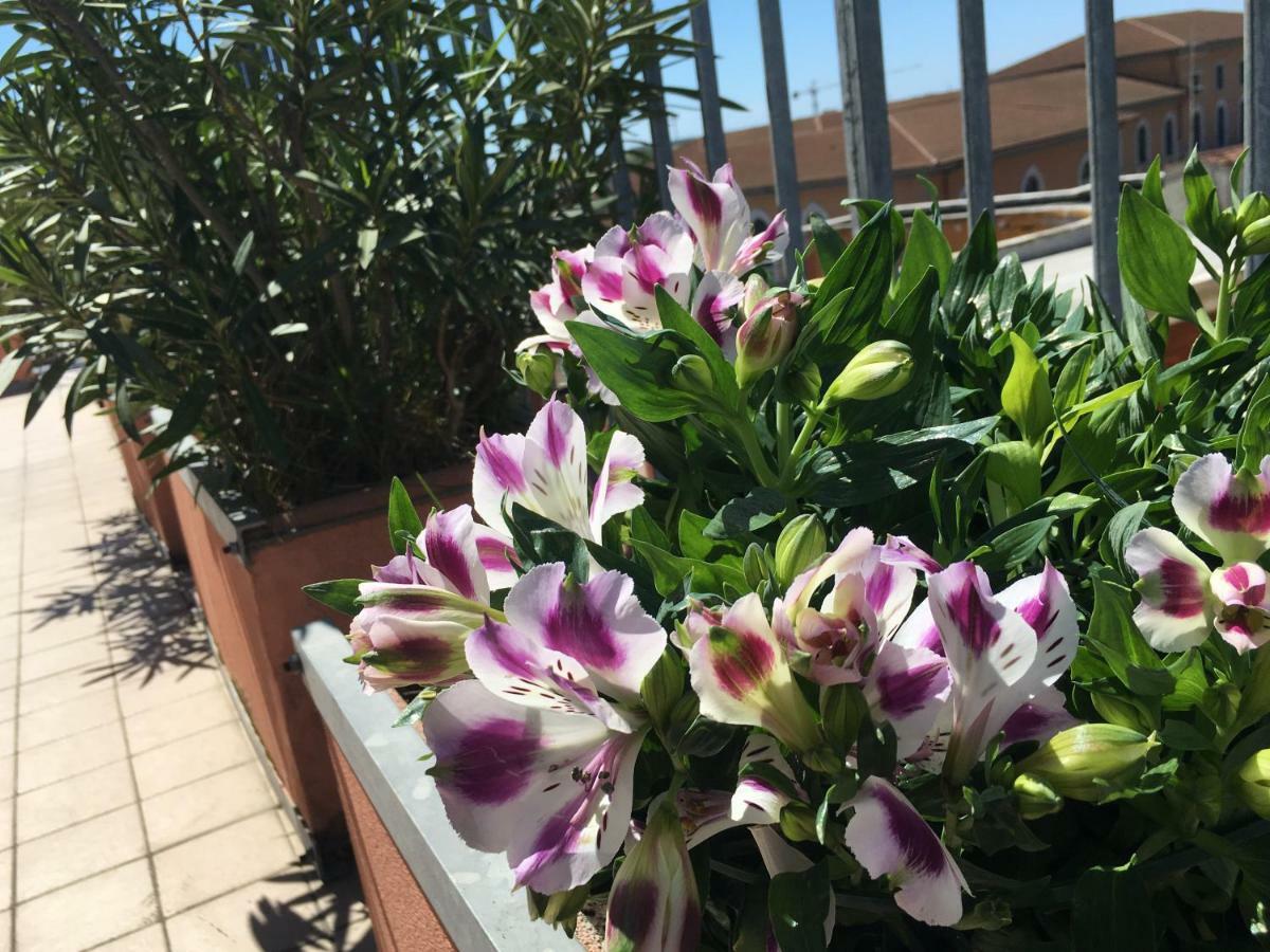 B&B Colombo Pisa Luaran gambar